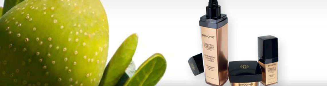 Turn Back the Clock with Pevonia’s Stem Cells Phyto-Elite® Line