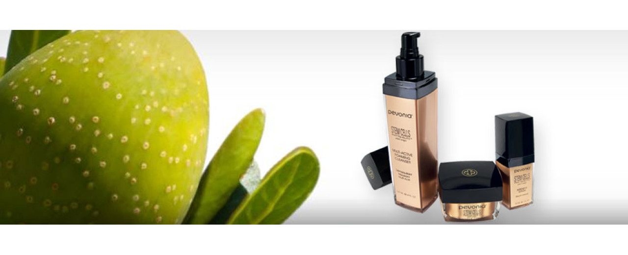 Turn Back the Clock with Pevonia’s Stem Cells Phyto-Elite® Line