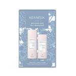 Kerasilk - Repairing Duo Kerasilk - Repairing Duo