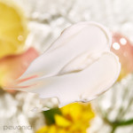 Pevonia - Power Repair Age Correction Hyaluronic Acid Hydra Moisturizer 50ml Pevonia - Power Repair Age Correction Hyaluronic Acid Hydra Moisturizer 50ml