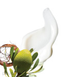 Pevonia - Stem Cells Phyto-Elite Intensive Body Corrector 120ml Pevonia - Stem Cells Phyto-Elite Intensive Body Corrector 120ml