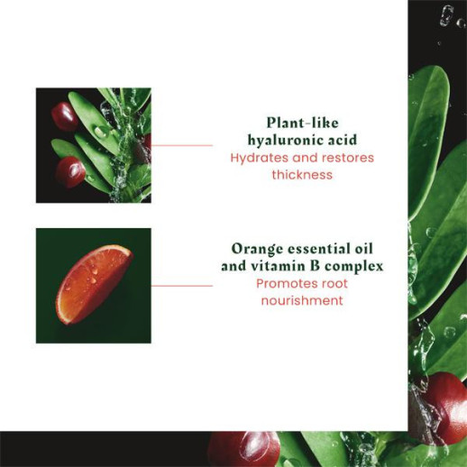 Rene Furterer Tonucia Natural Filler Ritual