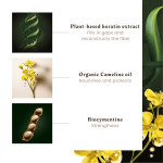 Rene Furterer - Absolue Keratine - Ultimate Renewal Mask - Fine to Medium Hair - 200ml Rene Furterer - Absolue Keratine - Ultimate Renewal Mask - Fine to Medium Hair - 200ml