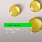 Rene Furterer Triphasic Stimulating Shampoo for Thinning Hair 200ml Rene Furterer Triphasic Stimulating Shampoo for Thinning Hair 200ml